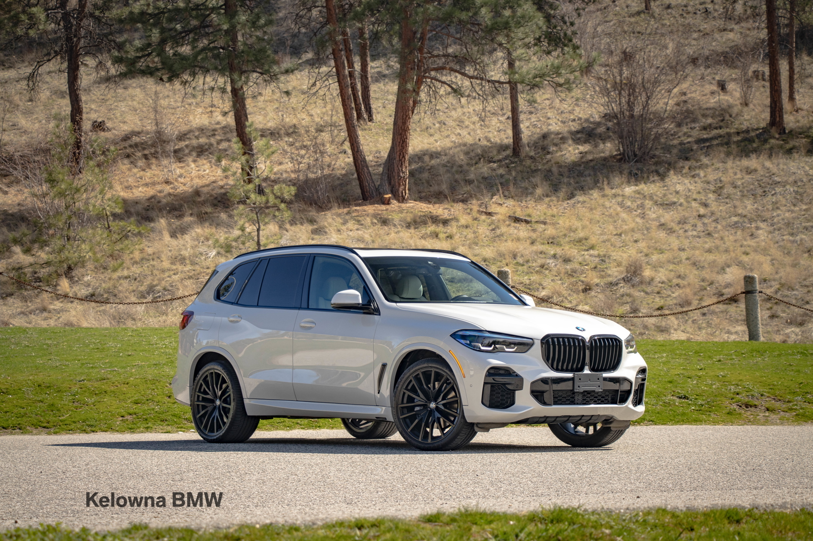 2023 BMW X5 xDrive40i AWD
