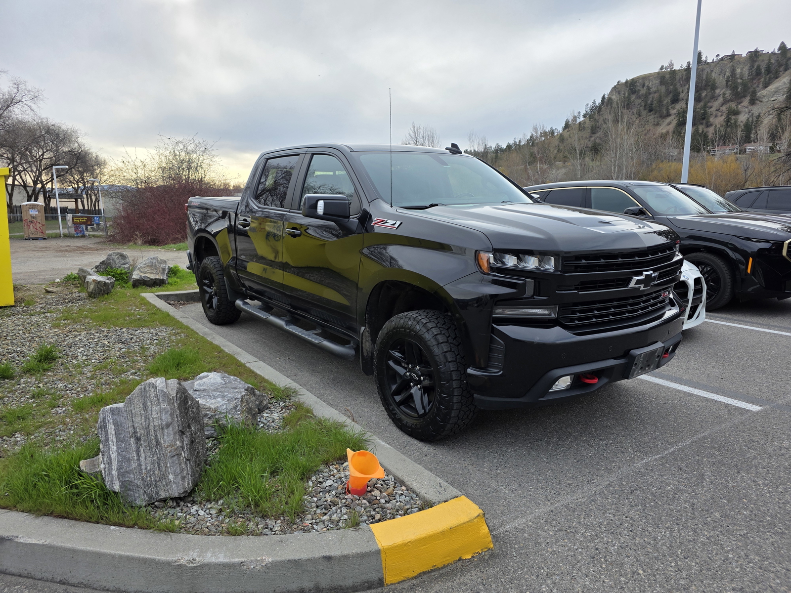 Chevrolet Silverado 1500 LT Trail Boss Crew Cab 4WD 2021