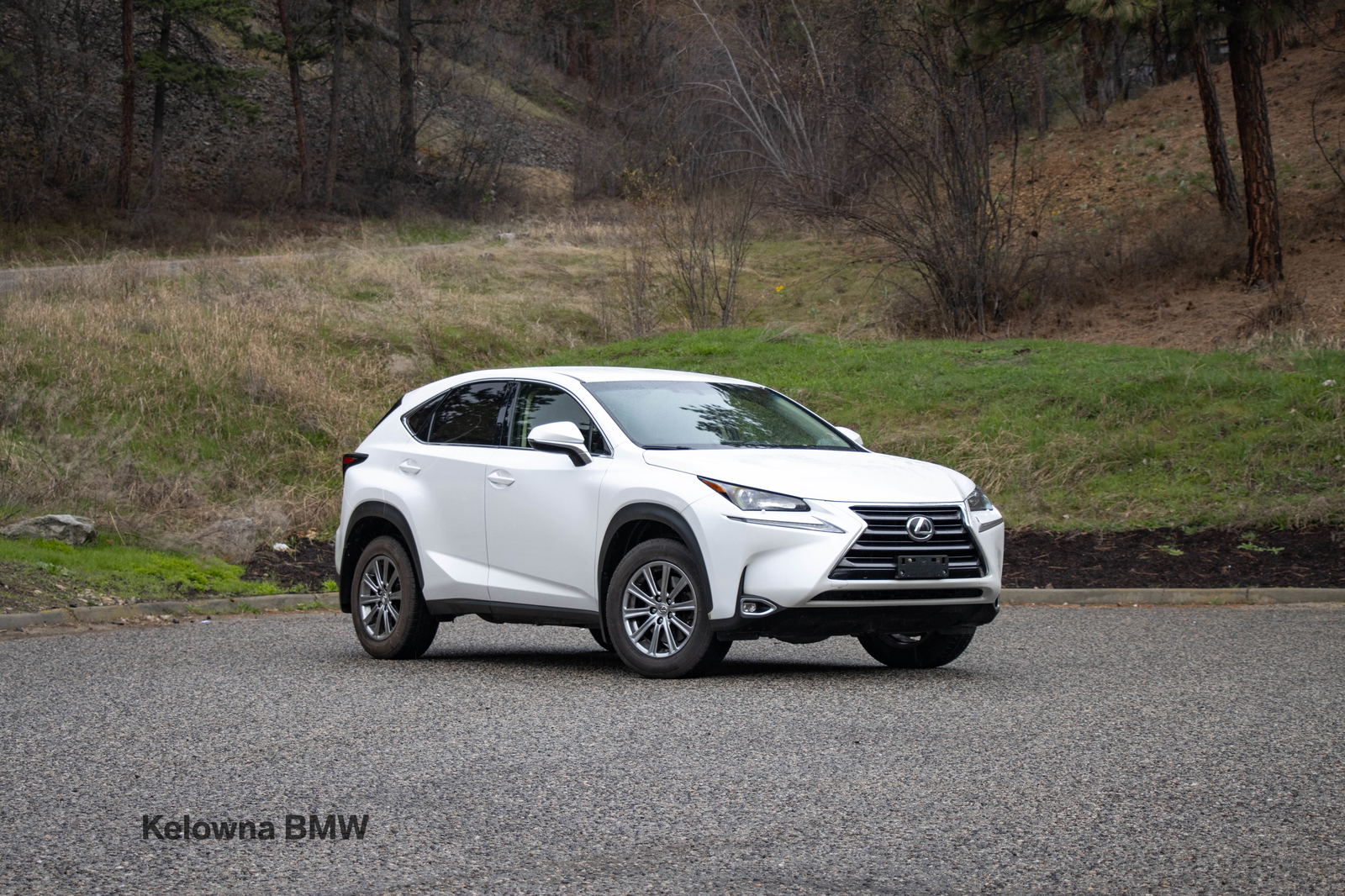 2017 Lexus NX 200t AWD
