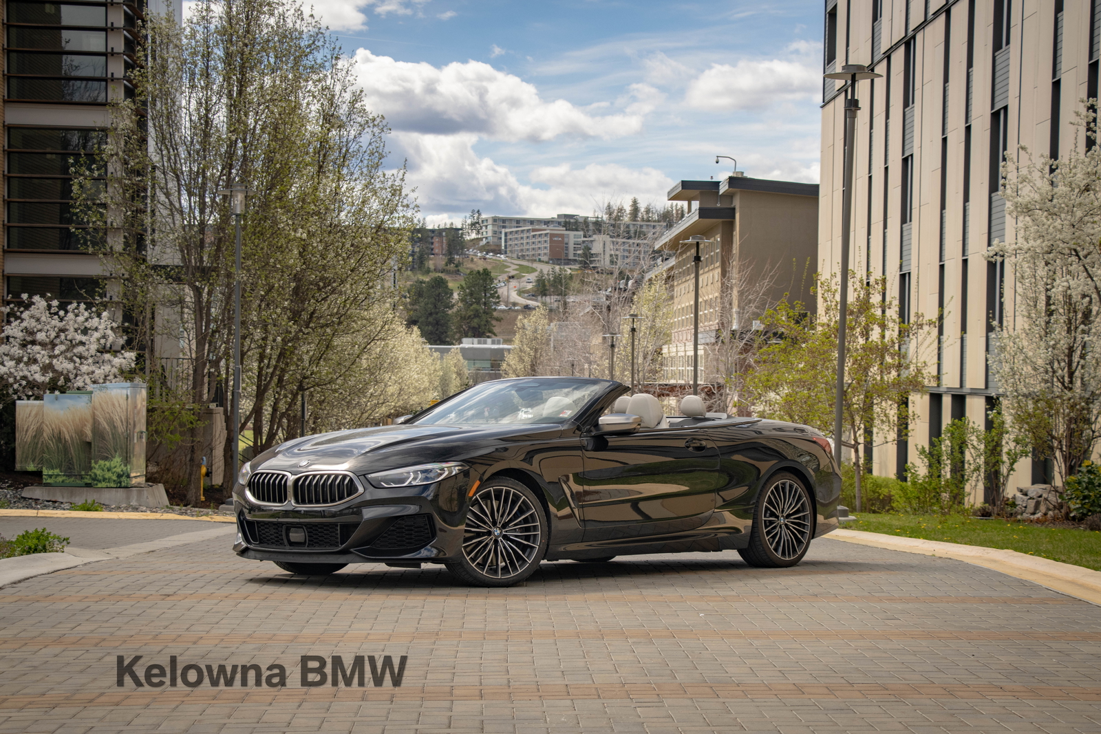 2019 BMW 8 Series M850i xDrive Convertible AWD