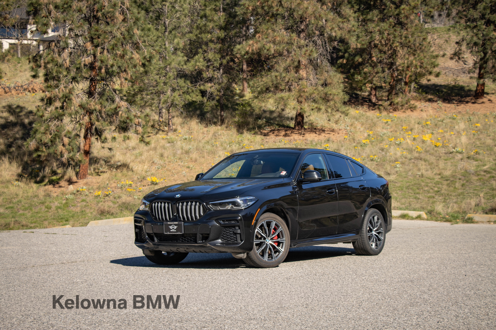 2022 BMW X6 xDrive40i AWD