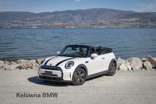 NANUQ WHITE 2024 MINI Cooper Convertible Front-Wheel Drive Automatic