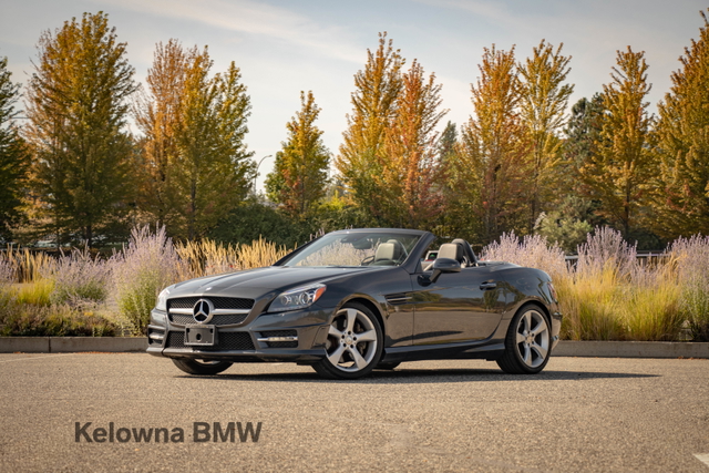 Gray (TENORITE GREY METALLIC) 2013 Mercedes-Benz SLK Convertible Rear-Wheel Drive Automatic