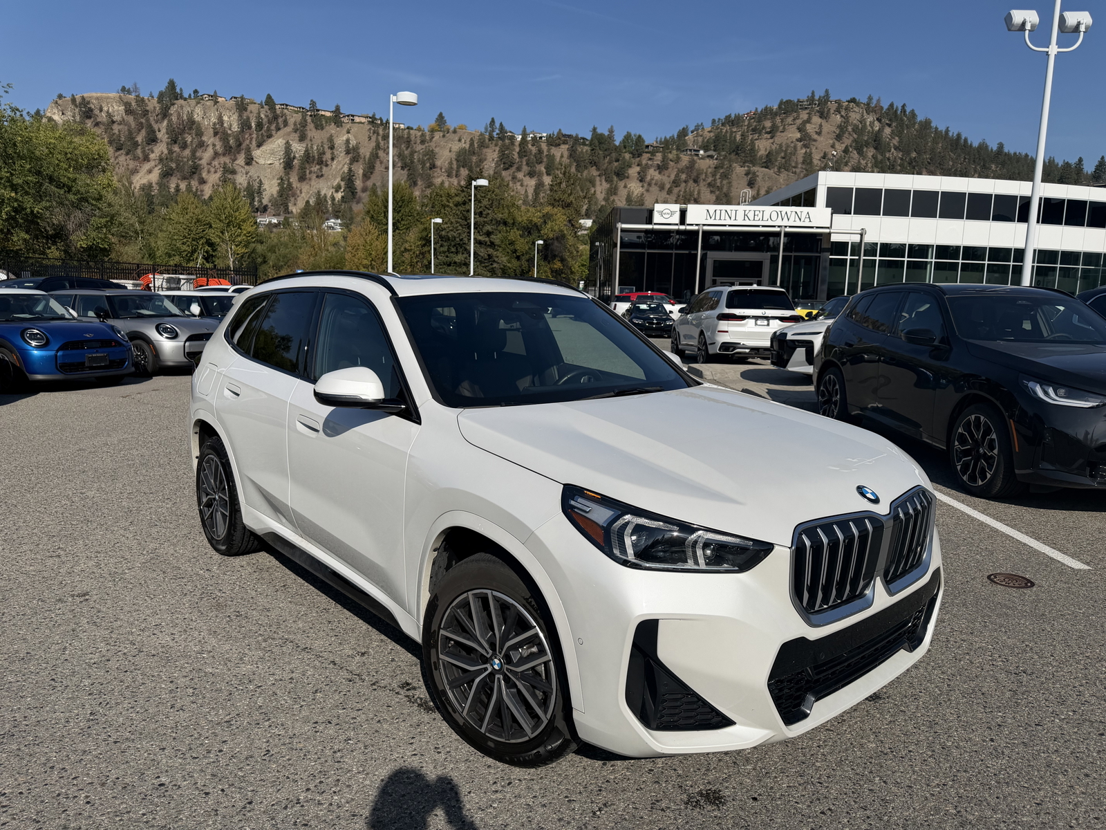 MINERAL WHITE METALLIC 2023 BMW X1 SUV / Crossover All-Wheel Drive Automatic