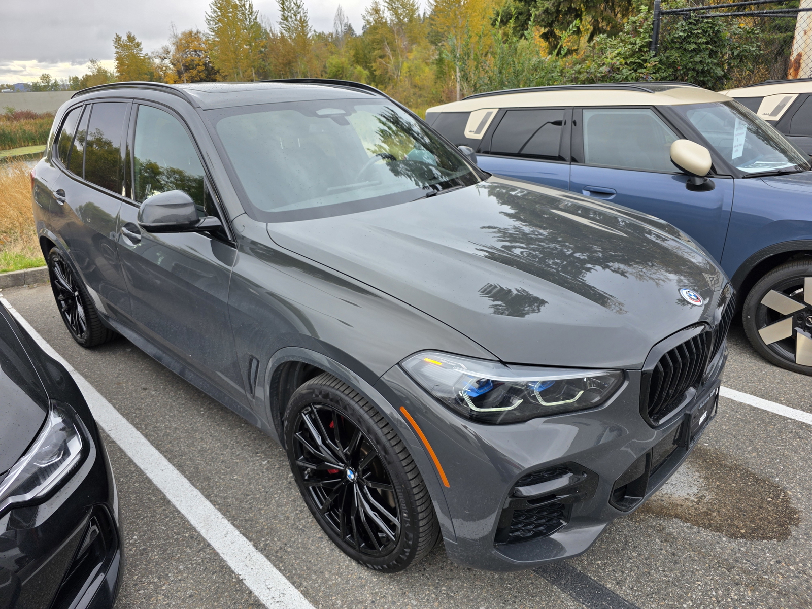 2023 BMW X5